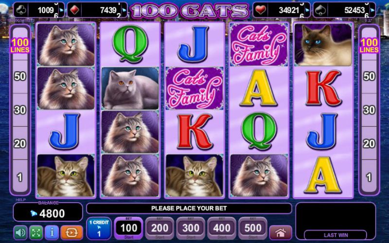 100 Cats Slot