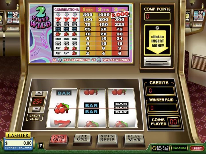 2 Times Extra Wild Slot