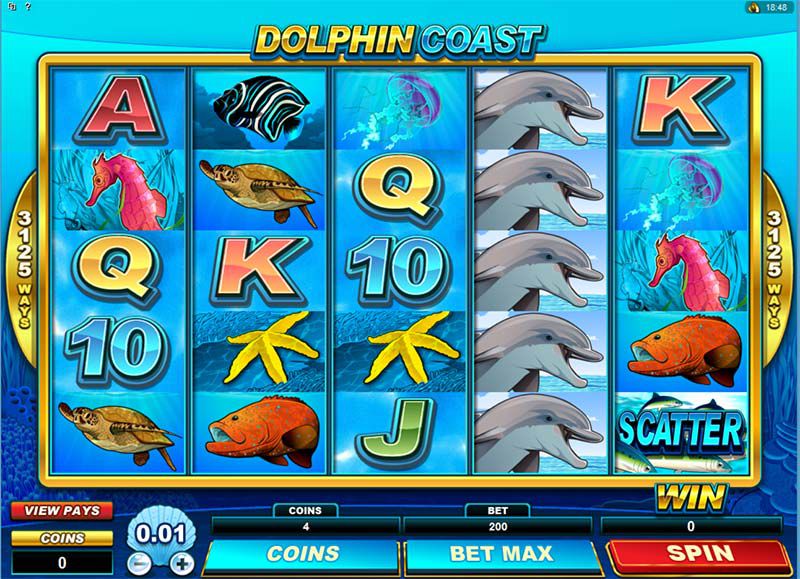 Dolphin Coast Slot