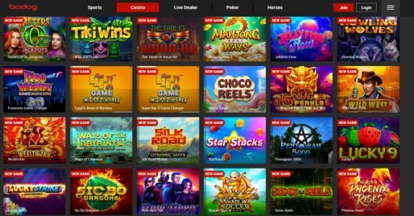 Bodog Casino 2021 Review Slots Play Now BigWinGuide